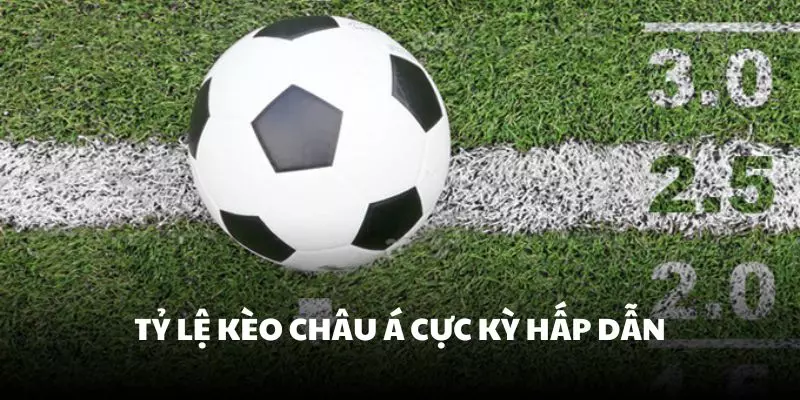 Tỷ lệ kèo châu Á được đánh giá là cực kỳ hấp dẫn