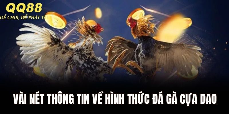 Vài nét thông tin về hình thức đá gà cựa dao