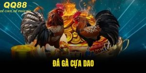 đá gà cựa dao