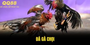 đá gà chọi