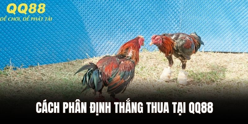 Cách phân định thắng thua tại QQ88