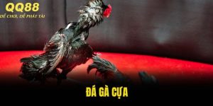 đá gà cựa