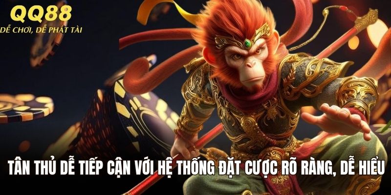 Tân thủ dễ tiếp cận với hệ thống đặt cược rõ ràng, dễ hiểu